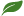 листья 